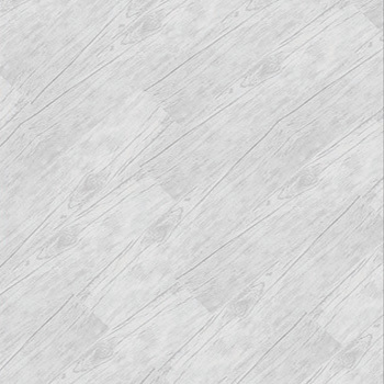 24021611 - Ipê Branco.jpg