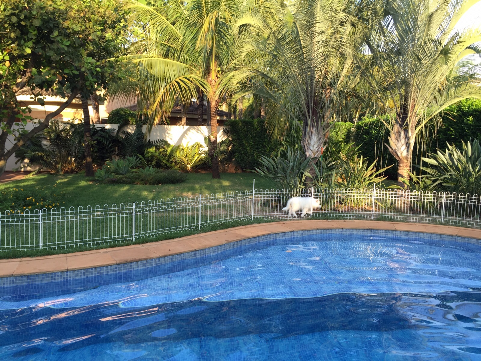 CelularBruno-26.10.15 1097.jpg