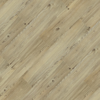 9343604 - Canela.jpg