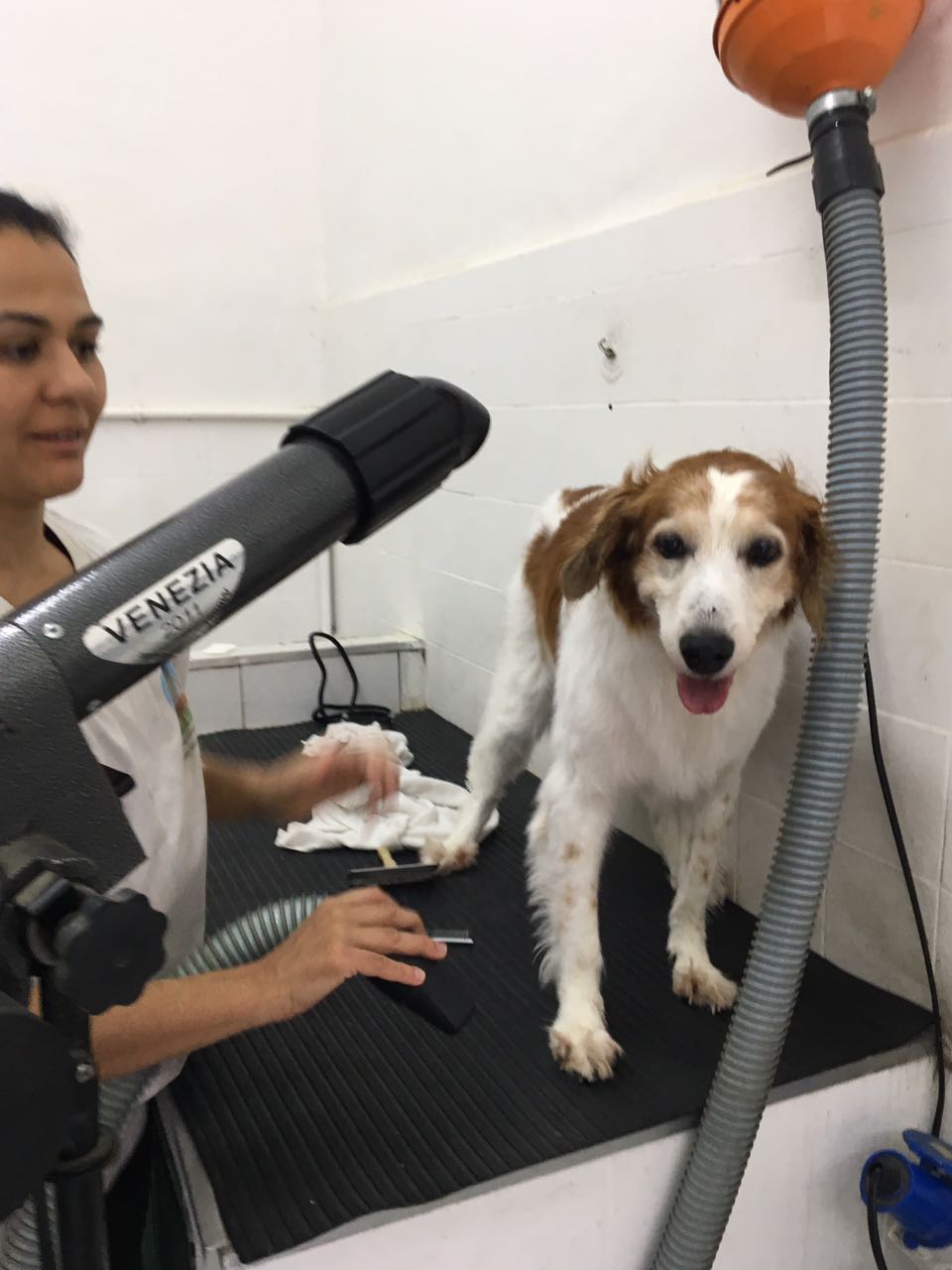 WhatsApp Image 2017-07-17 at 11.09.59.jpeg