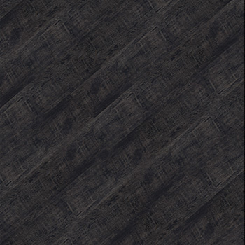 24021609 - Ipê Preto.jpg