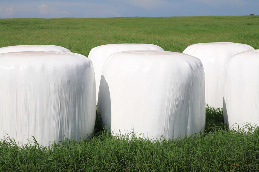 venda de feno bola pre secada