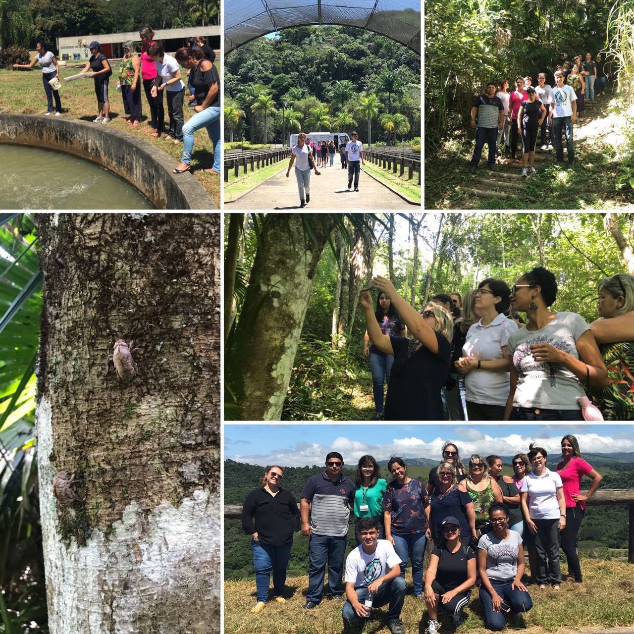 PHOTO-2018-08-25-12-38-38 (1).jpg