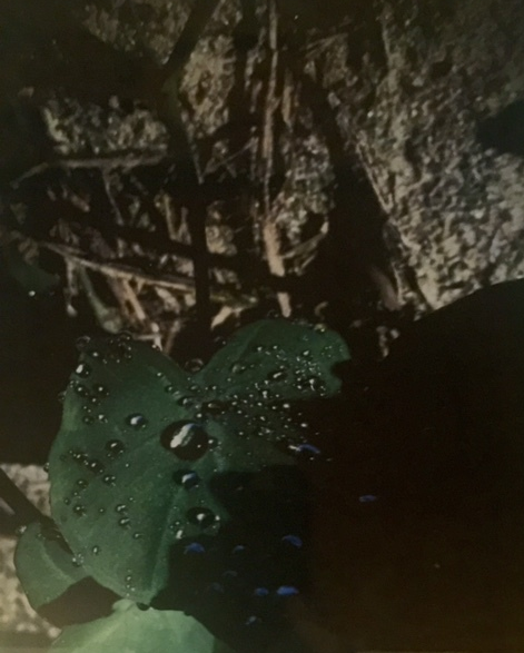 Cópia 3 de FullSizeRender(2).jpg