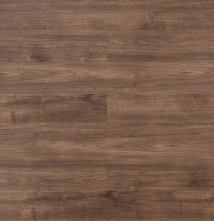 Rocky - 302 KBW 8531 Vinci.jpg