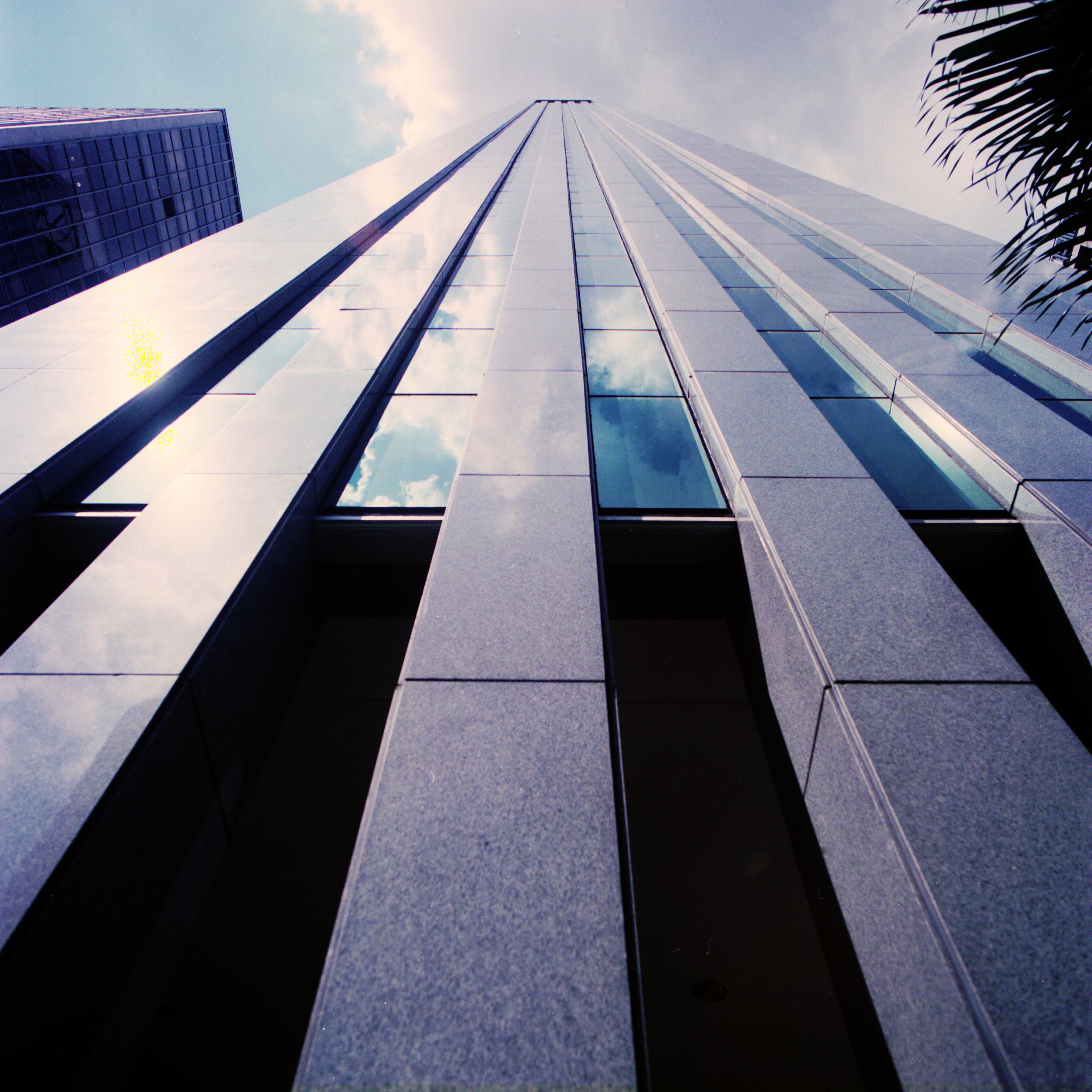 Ed. Bonfiglioli 4.1.jpg