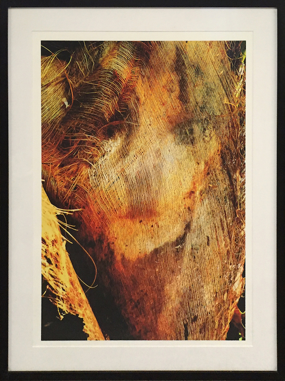 Claude Mollard Fotografia 2007 101x75 Barra Grande.jpg