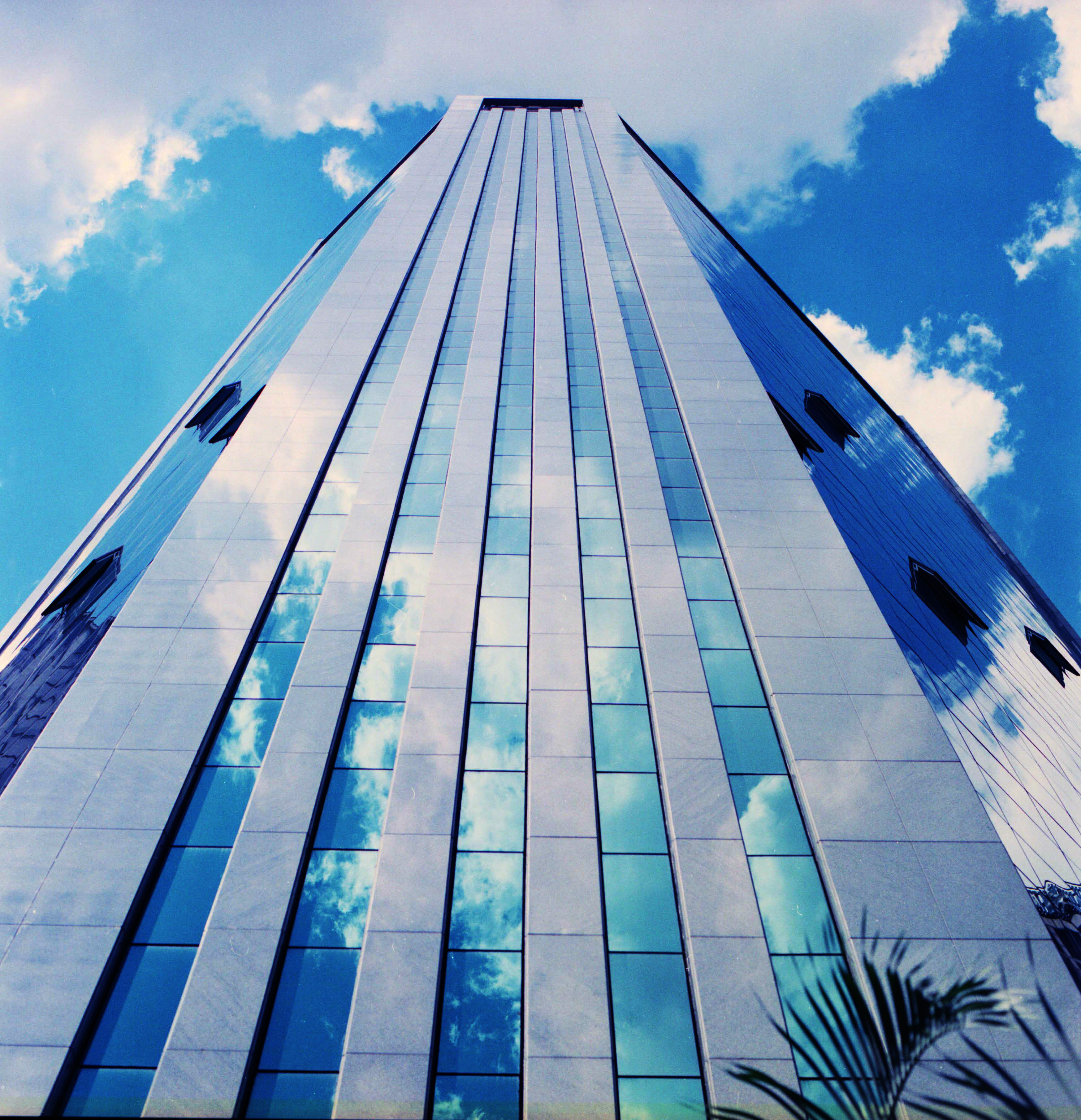 Ed. Bonfiglioli 4.2.jpg