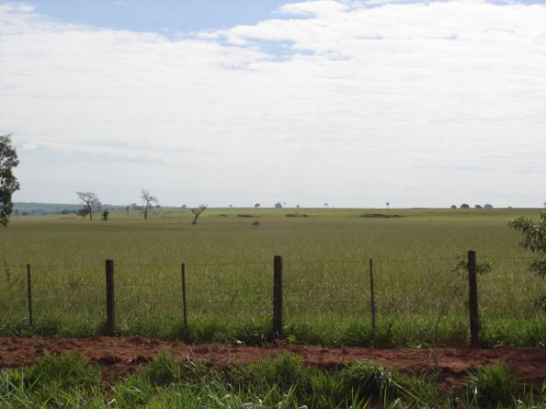 Fazendão 1.200 alqueires 030.jpg