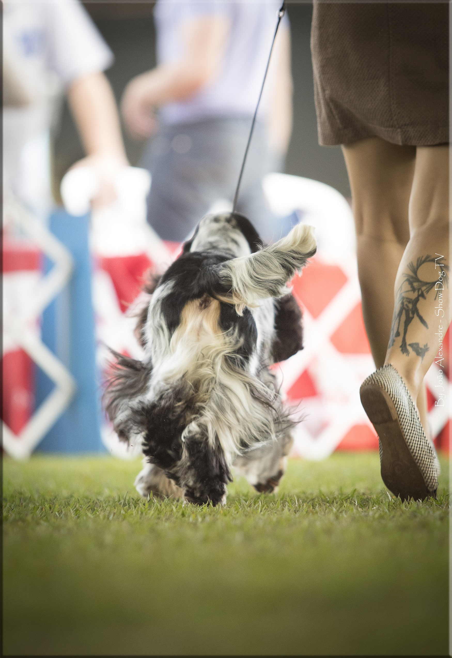 IMG_7748 copiarb.jpg