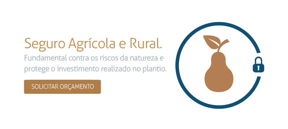 seguro agrícola e rural