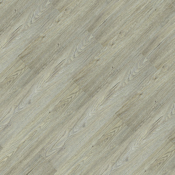 9329725 - Graviola.jpg