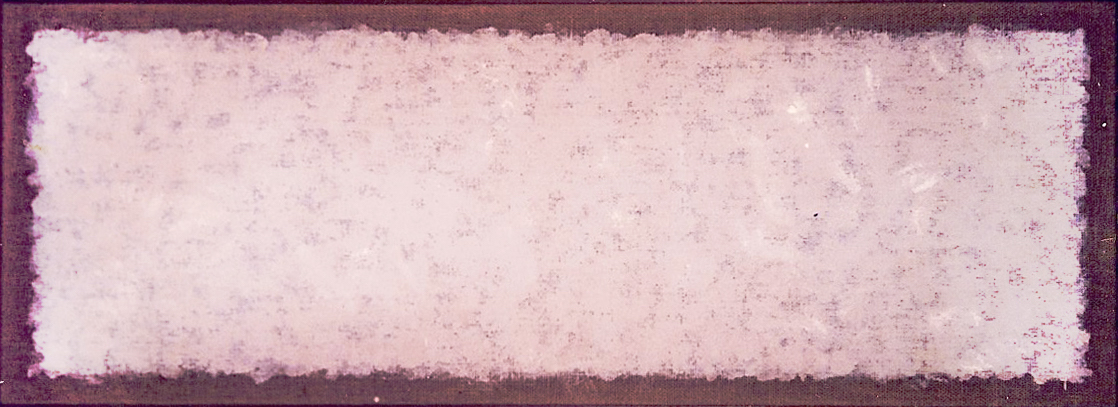 Amélia Toledo 1986 A.S.J. 120x46 2.jpg