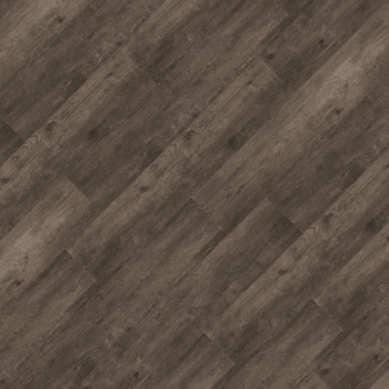 9345695 - Flamboyant.jpg