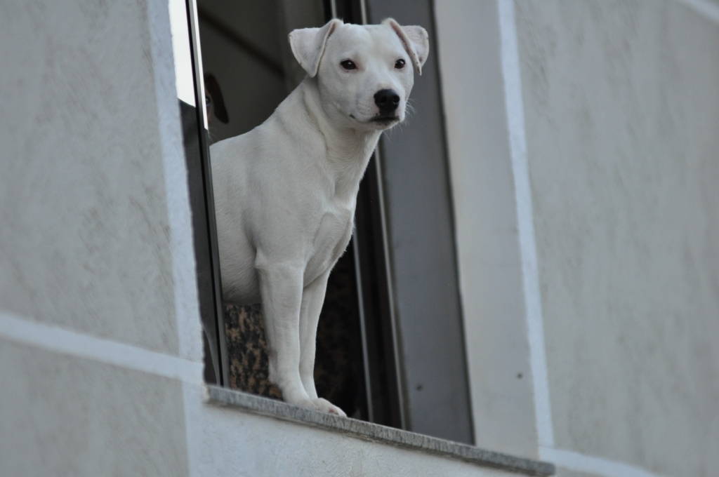 Scanner 4 - DSC_0580 (site).jpg