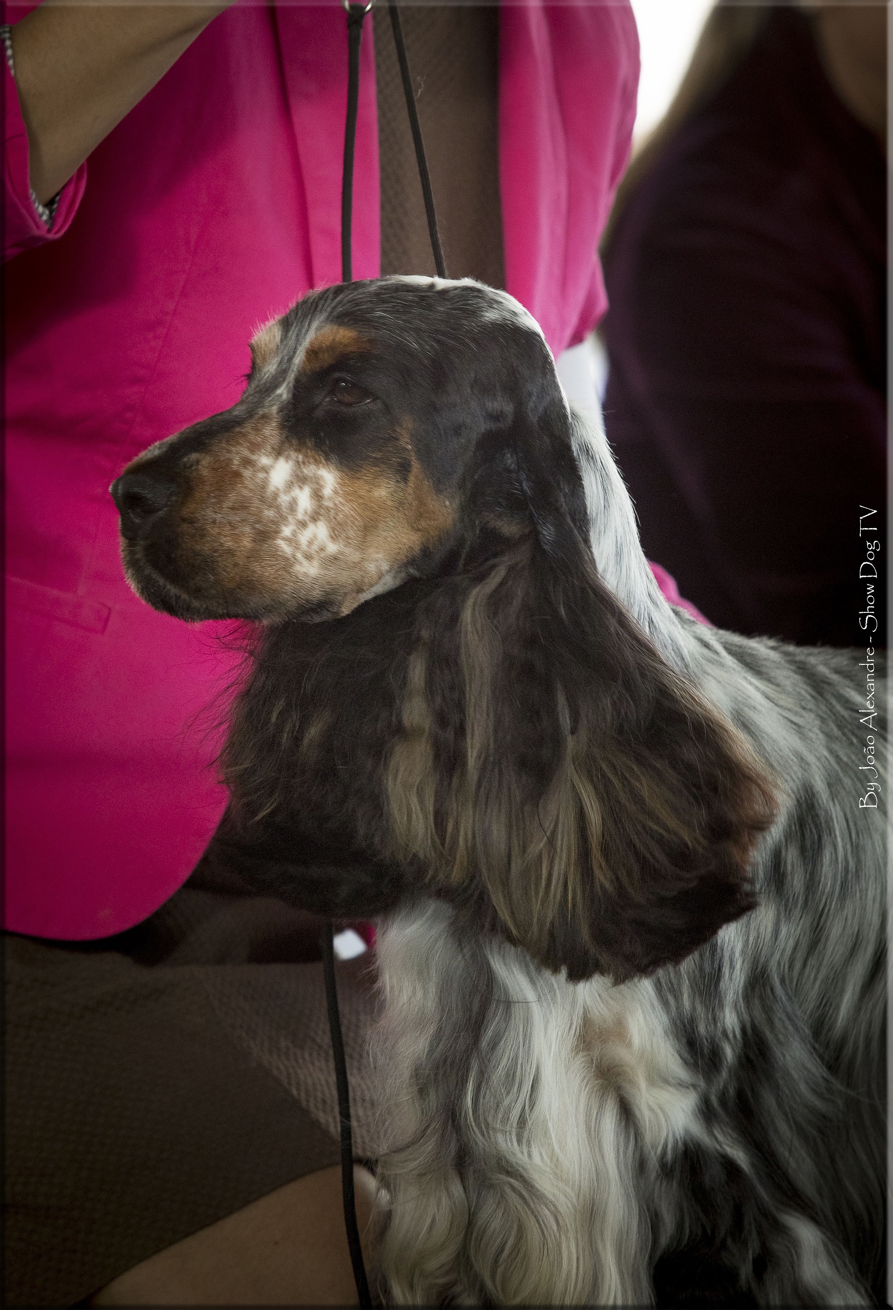 IMG_7820 copiarb.jpg