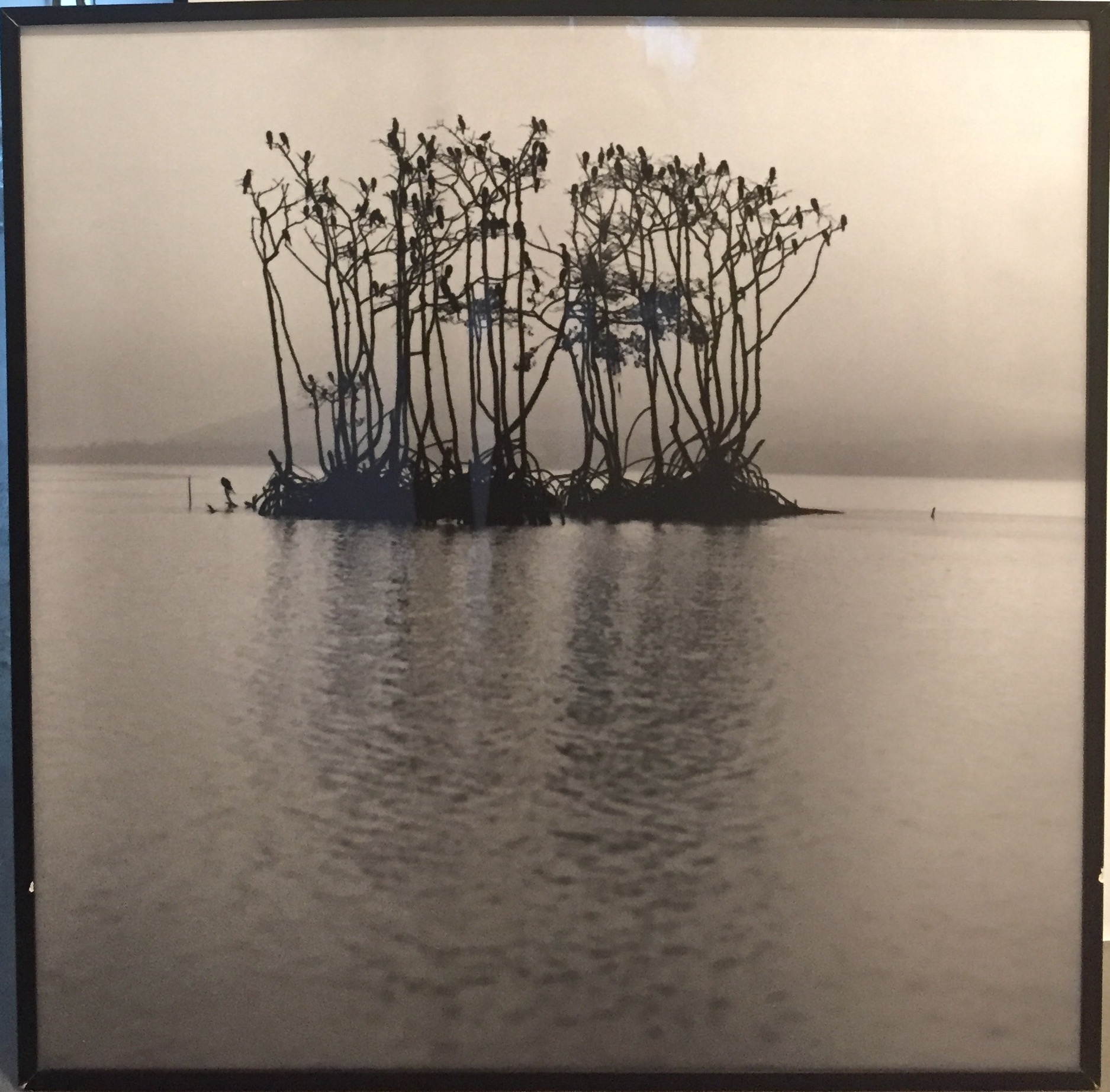 Orlando Azevedo 97x97 Fotografia 2.jpeg