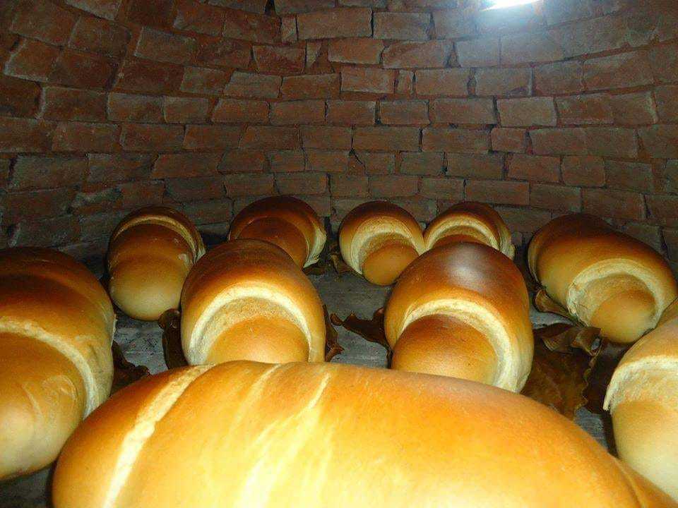 WhatsApp Image 2018-08-19 at 11.17.58 pão 3.jpeg