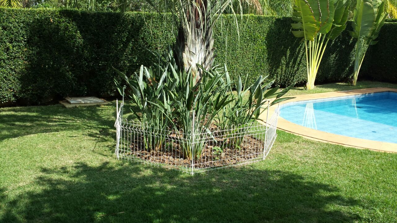 CelularBruno-26.10.15 176.jpg