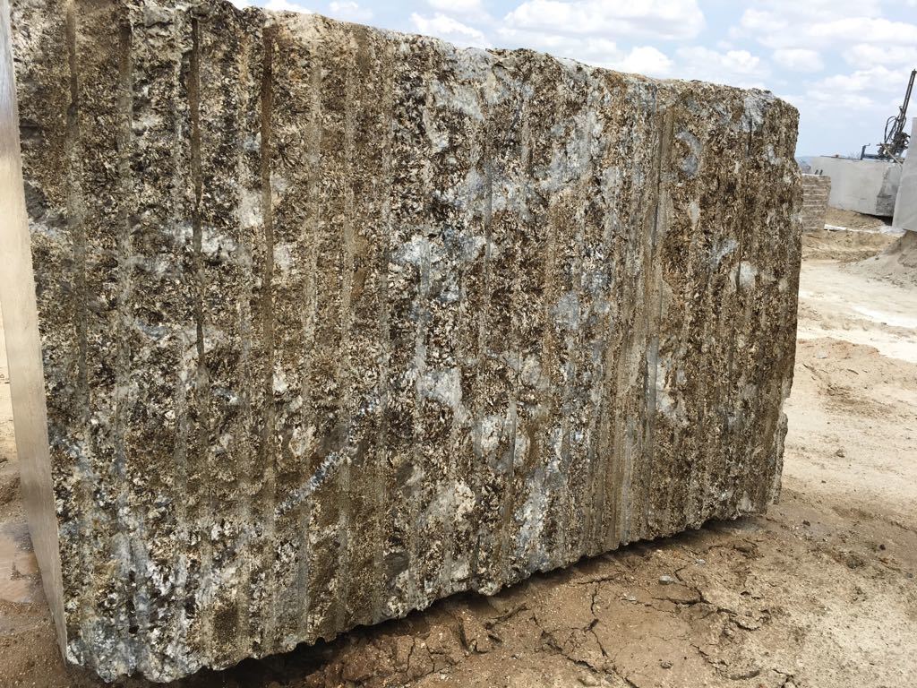 ARARAS GOLD BLOCK 901 (CM).jpg