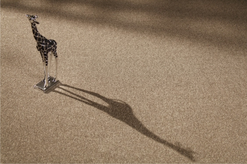 0 imagem principal 1.jpg