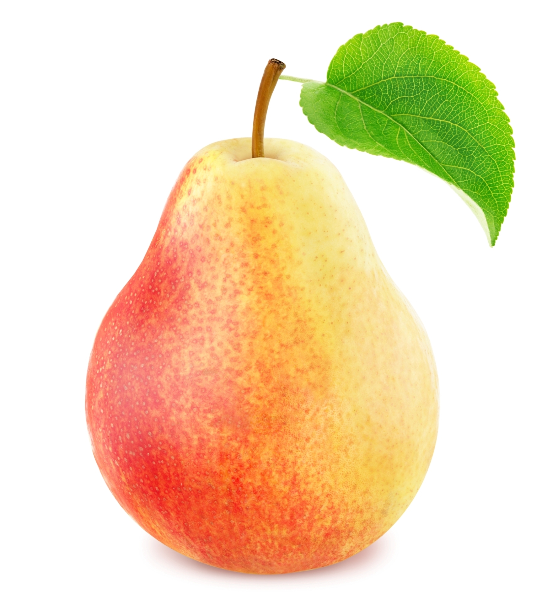 Diminuida 1.1MB .jpg