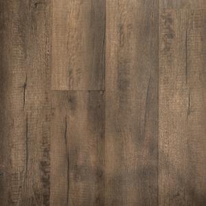 Strata - 202 K177502 Porter.jpg