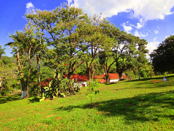 Clinica de recuperação de dependente químico em Atibaia.