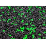 Square Color - Verde.jpg