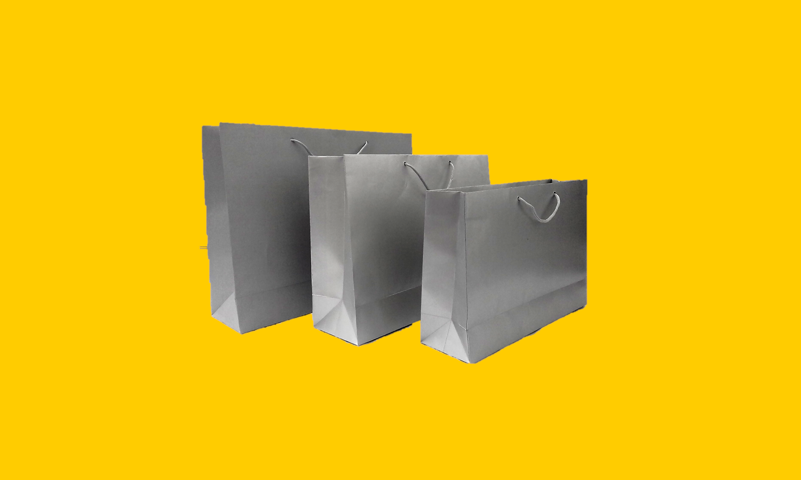 Bolsa Horizontal Fosca Prata.png