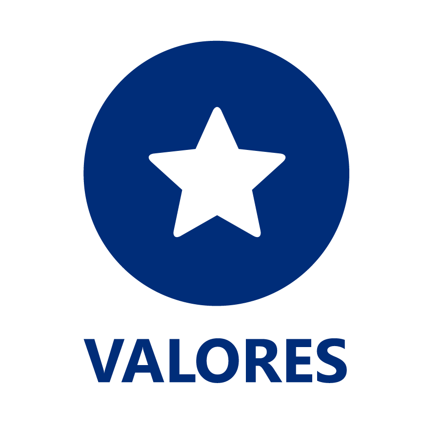 icone-valores.png