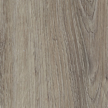 24037961 - Tomilho.jpg