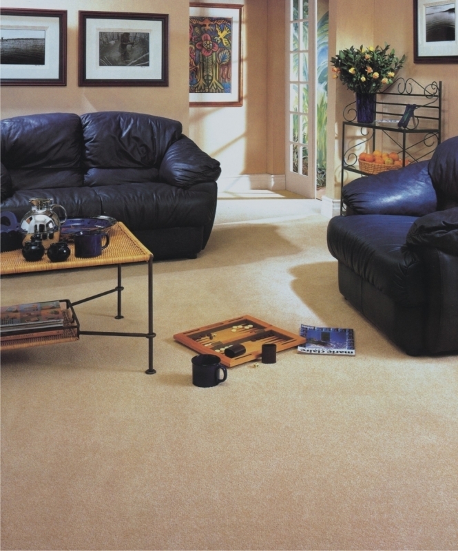 0 imagem principal 1.jpg