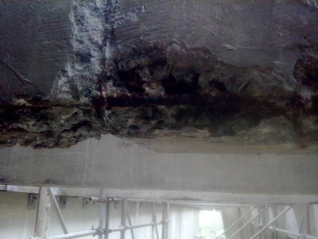 Tribunal deContas SP 05.jpeg