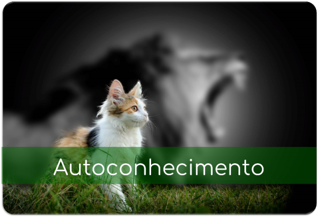 Autoconhecimento_Divulgação.png