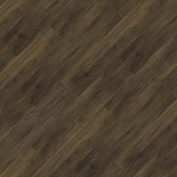 9343658 - Sapucaia.jpg