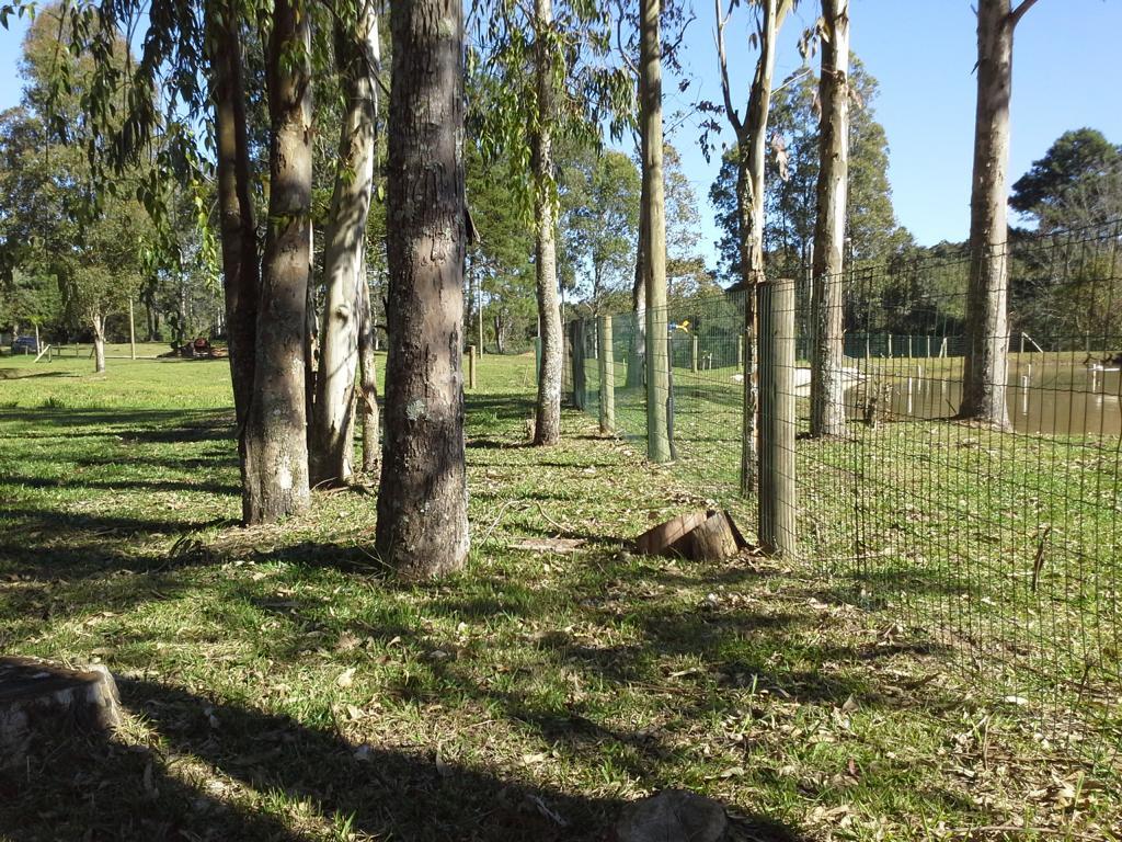 projeto_execucao_telas_lazzarotto (3).jpg