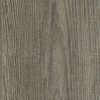 24037157 - Orquídea.jpg