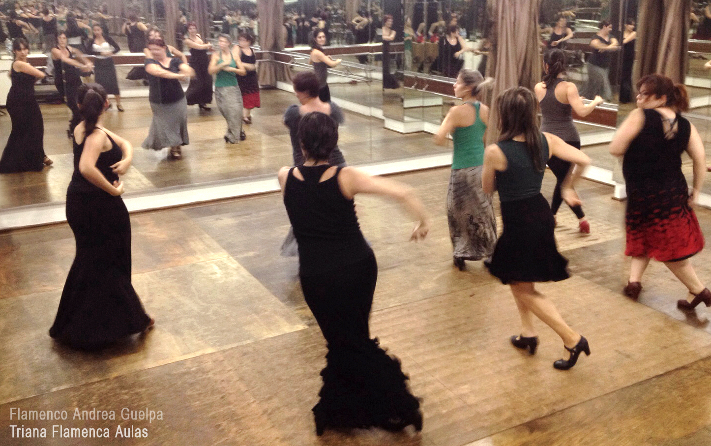 aula-de-flamenco-sp-andrea-guelpa-triana