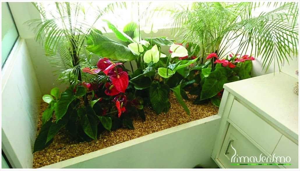 Banheiro Búzios.jpg