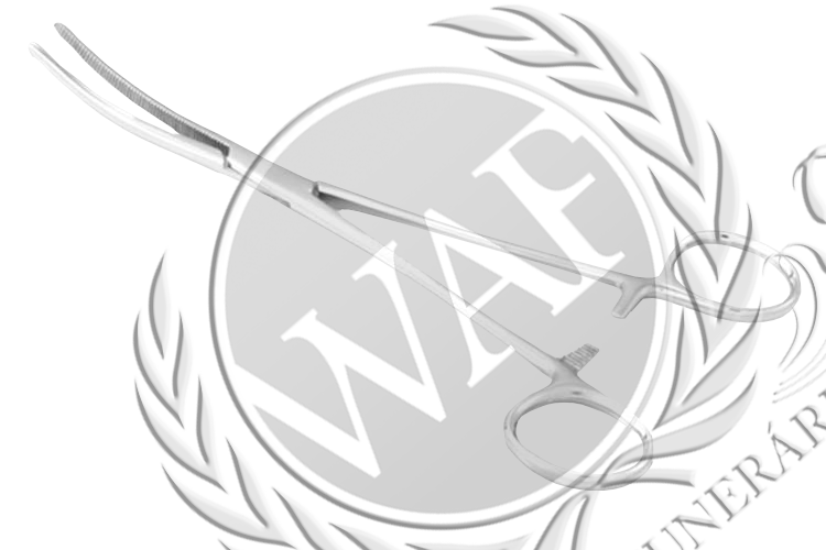 Pinça Hemostática Curva Marca.png