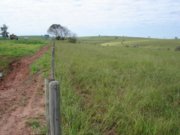 Fazendão 1.200 alqueires 008.jpg