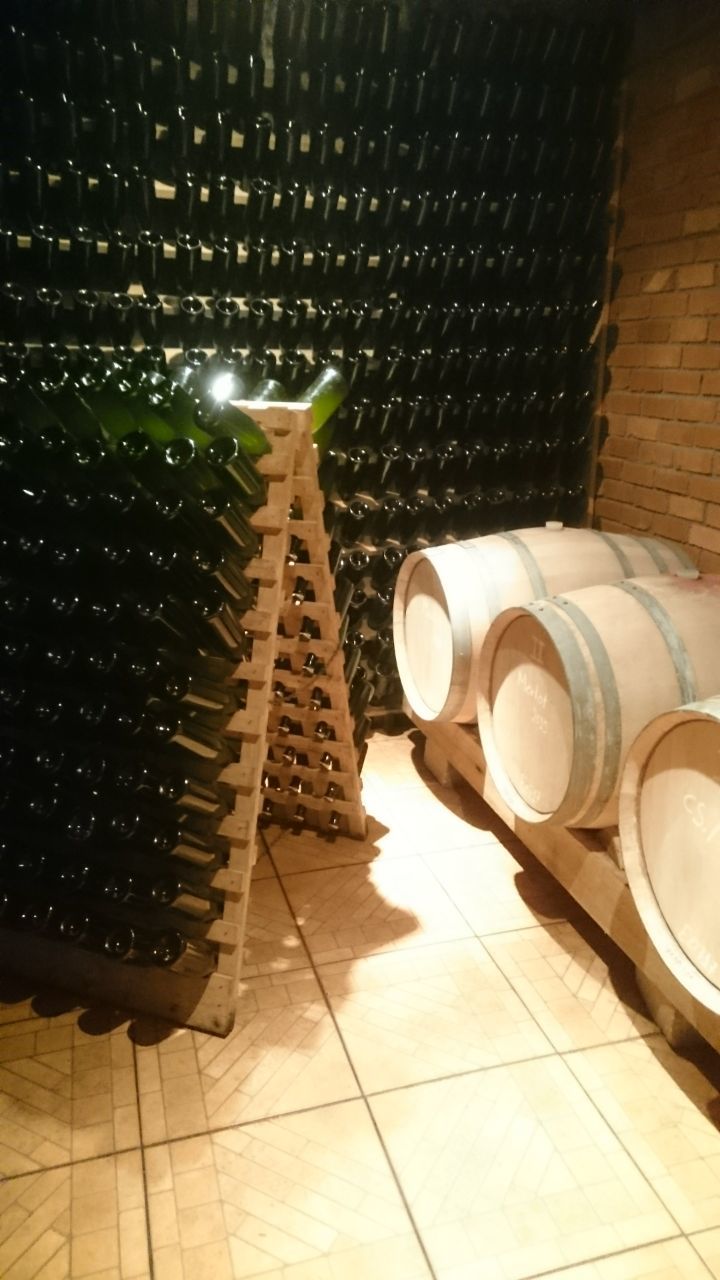 WhatsApp Image 2018-04-26 at 15.25.53.jpeg