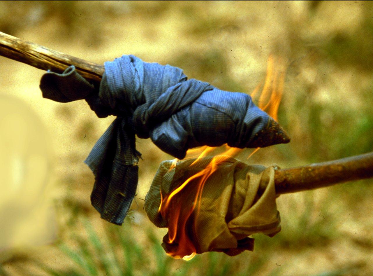 A Natureza de Krajcberg2.jpg