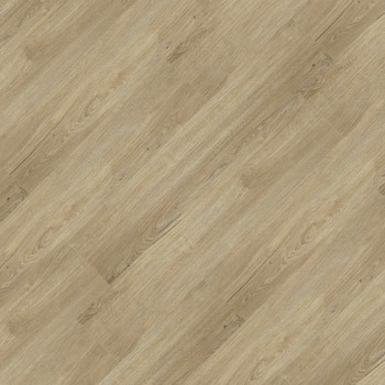 Essence Click - 9329619 Acácia.jpg